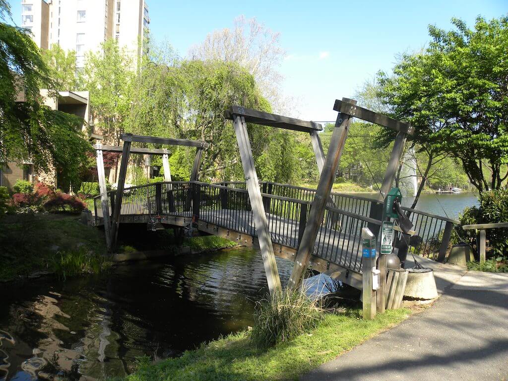 Van Gogh Bridge img